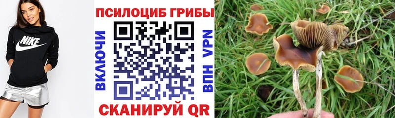 Галлюциногенные грибы ЛСД  магазин продажи наркотиков  Десногорск 